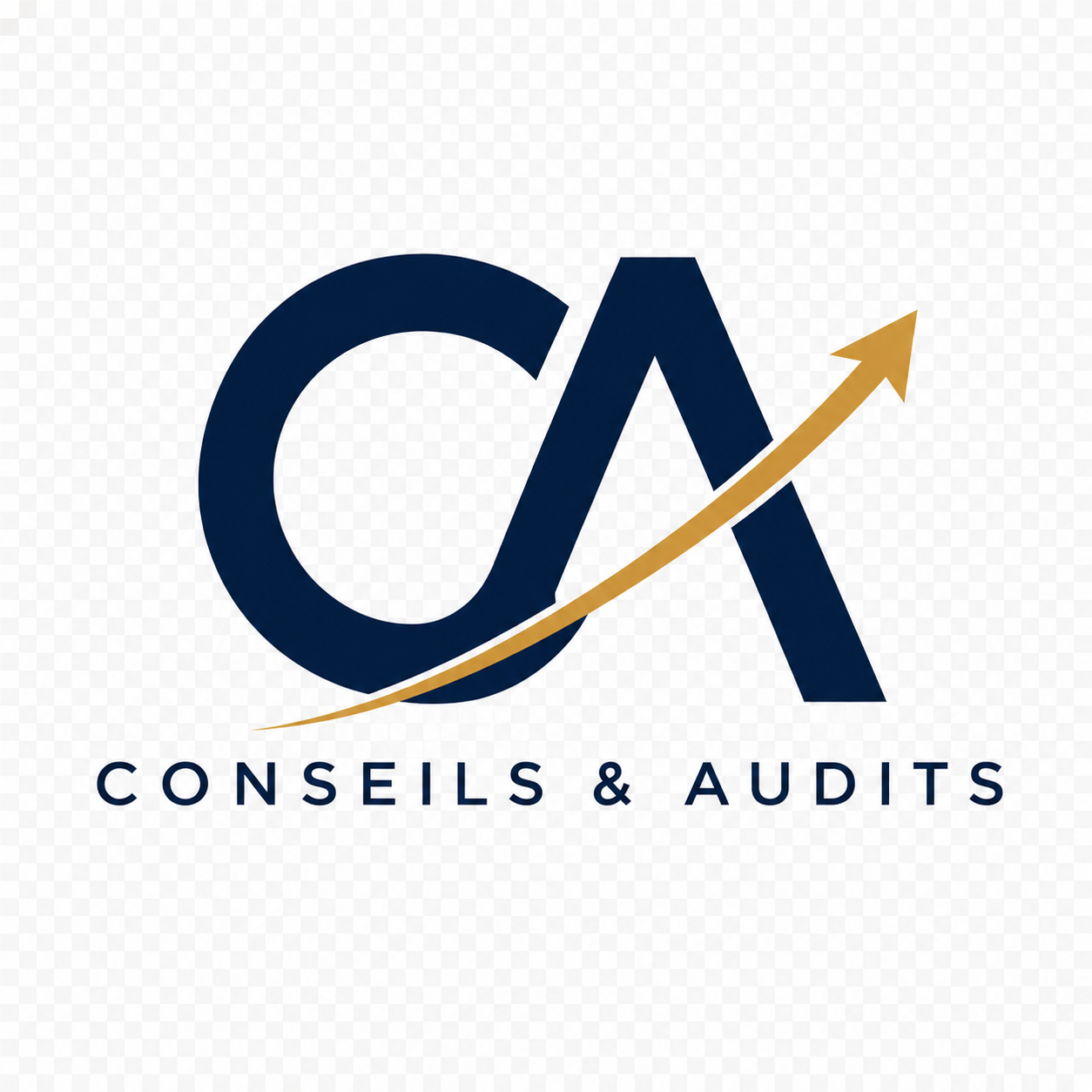 Conseils & Audits